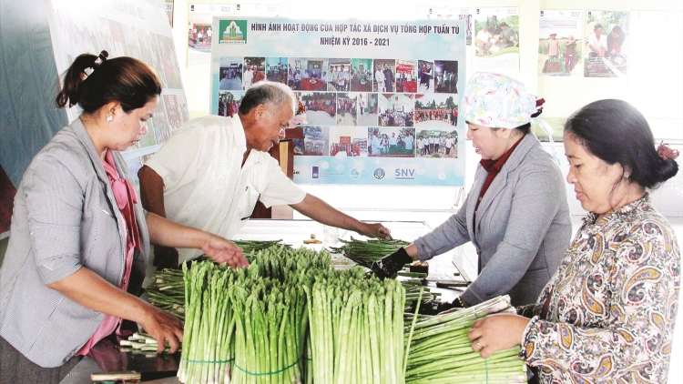 HADAH HADAI PALEI CAM DI BHUM TAPEN NEGAR NINH THUAN