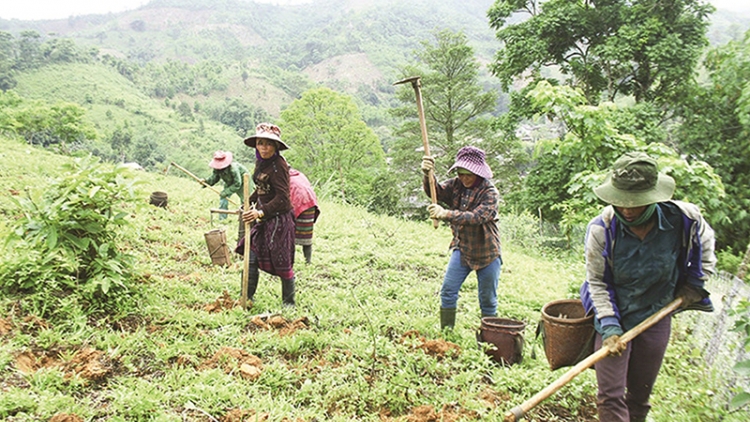 Đồng bào dân tộc thiếu đất sản xuất được hỗ trợ chuyển đổi nghề