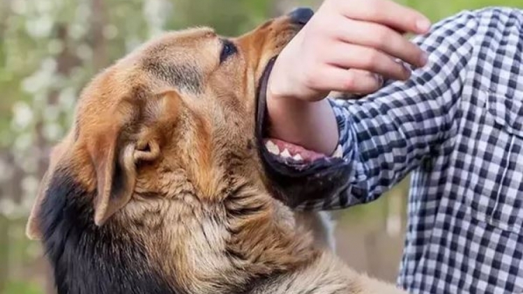 Xay moon 55 cha năc căh ma mông tu cr’ay dại