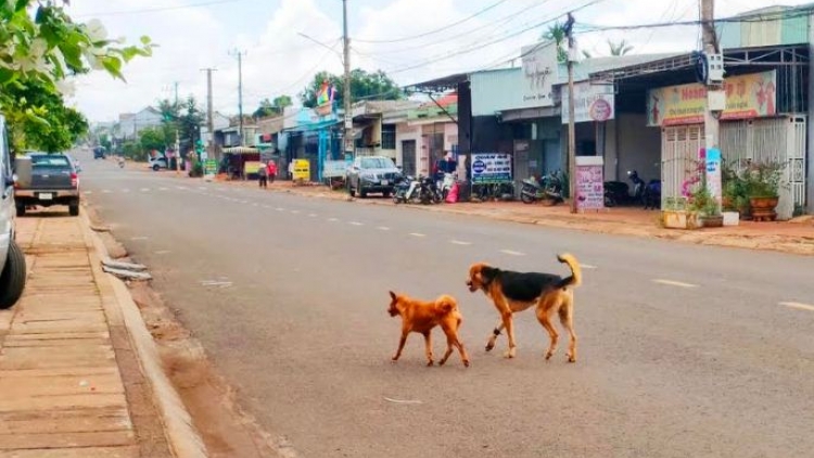 Gia Lai: Đei dơ̆ng 1 ‘nu hơ ioh lôch kơ yuơ jĭ kŏ vơnh pơm ăn