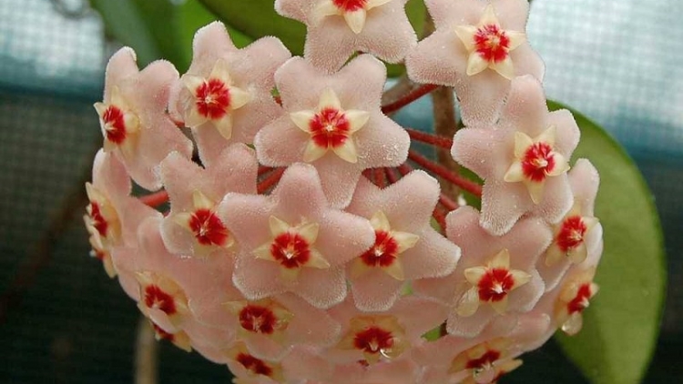 T'RUIH PA XƯL T'NGAY 21/9/2023