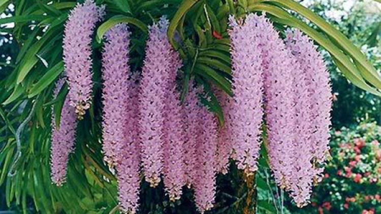 T’RUIH PA XUL T’NGAY 15/9/2023