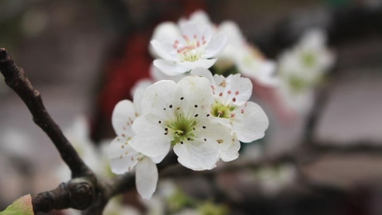 T'RUIH PA XƯL T'NGAY 19/9/2023