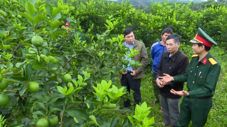 Nam Giang (Quảng Nam): Pa zay pa xiêr 4,2 - 4,5% pr’loọng đha rựt, cr’chăl c’moo 2022 - 2025