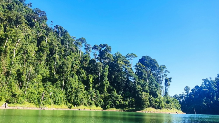 Quảng Nam: Cha mêệt lêy bh’rợ k’đhơợng lêy, zư lêy crâng g’mrâng đhị chr’hoong Nam Giang
