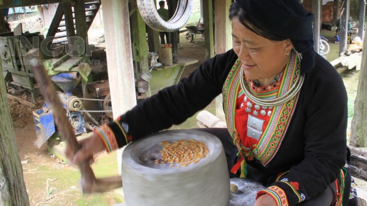 Lầy tzình  phát sinh ìu miền vả  hoi 16.9.2023