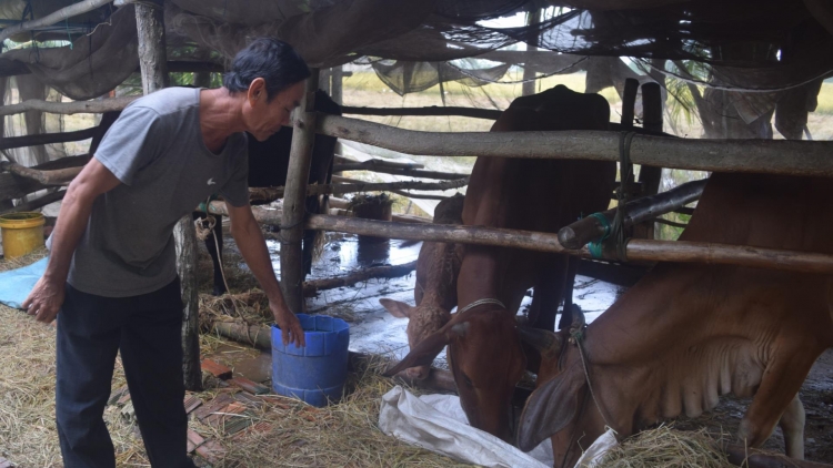 ជនរួមជាតិខ្មែរខេត្តត្រាវិញរួចផុតភាពក្រីក្រ ពីប្រភពទុនសម្រាប់ផ្គត់ផ្គង់ជីវភាព។