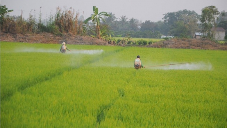 ដំបន់ដីសណ្ដទន្លេគឺវឡុង ម្ចាស់ការឆាប់បញ្ចុះពូជស្រូវរដូវសម្រកនៅតាមតំបន់ត្រូវរងផលប៉ះពាល់ដោយសារទឹកប្រៃ។	