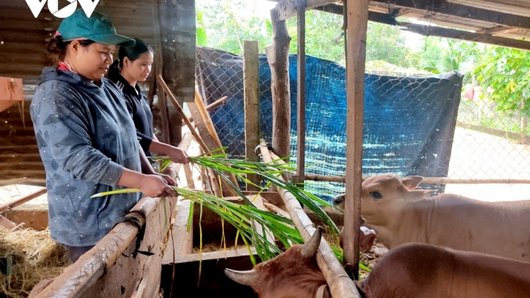 KEIN LABA KADUNG JIEN PATAK PATAOM NGAK TUI PANUAC WA DI ĐAK LAK