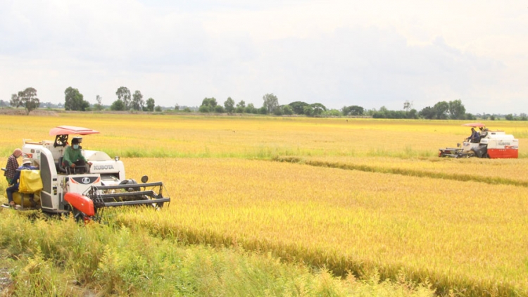 URANG NGAK NONG TỈNH VĨNH LONG DAOK YAUK PADAI THU ĐÔNG