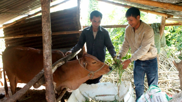 ‘Lơ̆ng hơiă “Kơsơ̆p mong jên Mut măih” tơ̆ Đắk Lắk