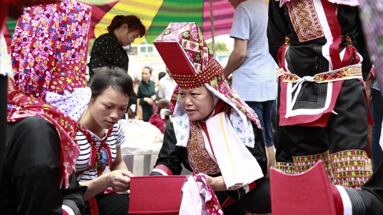 Lầy tzình páo dung hoi 29.10.2023