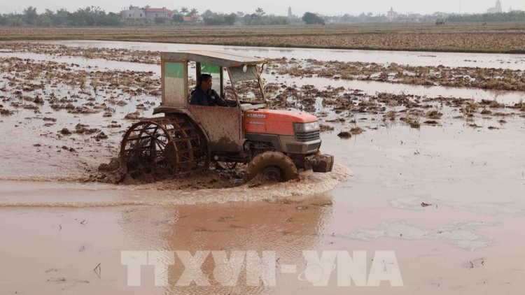 Haanh déh g’luh 43 T’ngay ch'na đh'nắh bha lang k’tiếc