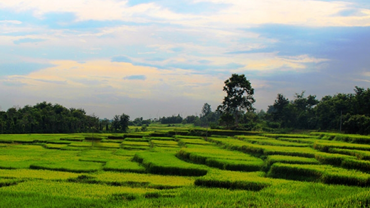 Chị tôi