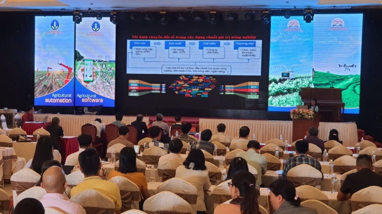 Tam gơl sồ tàm lơh sa suơn sre, chồl tơnguh tăc bro phan lơh geh bơh lơh sa suơn sre Tây Nguyên dê 