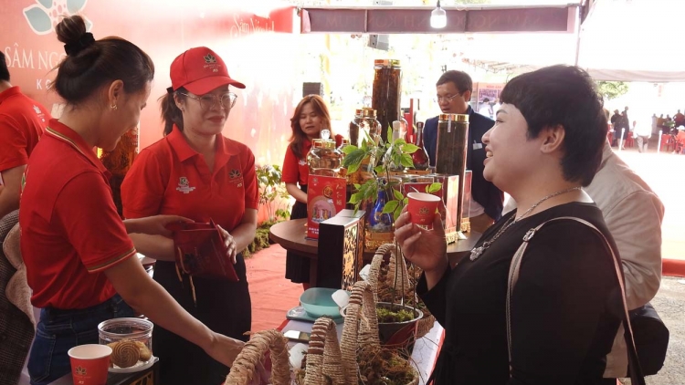 Festival sâm Ngọc Linh gô pơgơ̆r 2 sơnăm minh 'măng 