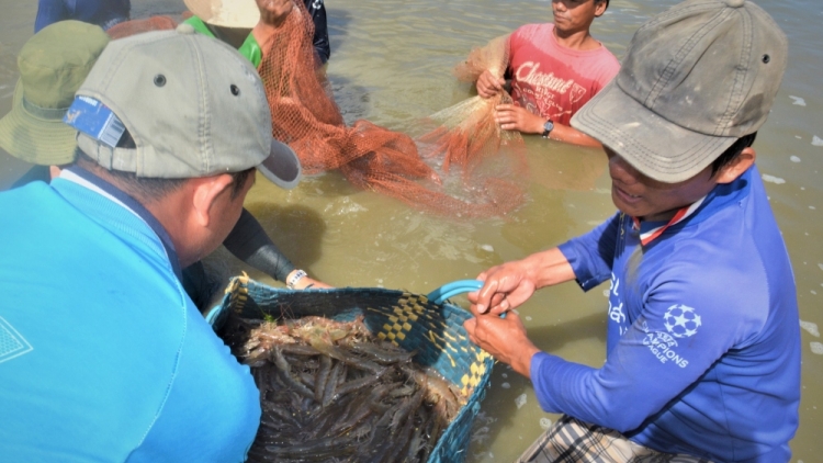 ពត៌មាន ម៉ោង ១៥