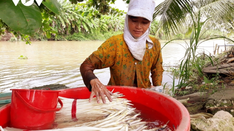 ពង្រីកបណ្ដាទម្រង់សេដ្ឋកិច្ចរបស់នារីខ្មែរនៅខេត្តសុកត្រាំង។