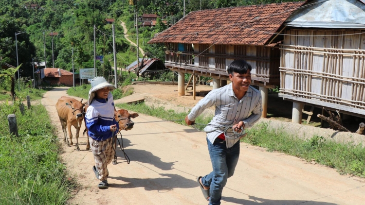 Sơn Tây (Quảng Ngãi): Ra pă lâh 12 tỷ đồng zooi c’lâng bhrợ cha ha đha nuôr da ding ca coong pa xiêr đha rưt nhâm mâng
