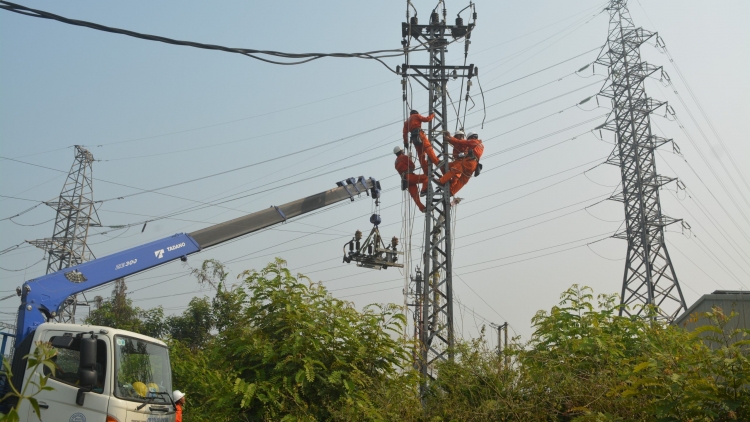 Bình Định: Nhâm mâng râu liêm mâng âng điện coh hân noo boo