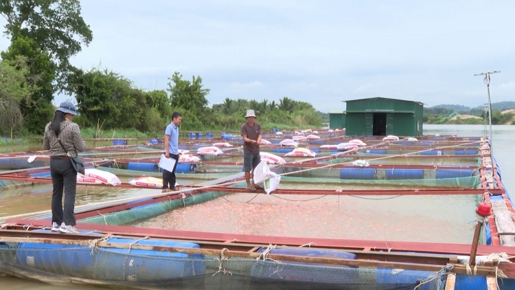 Ròng ka geh priă cồng gĭt nđờ rơhiang tơlak đong tàm tiah dà ia brê bơm niam bơnĕ ngan càr Dăk Nông dê