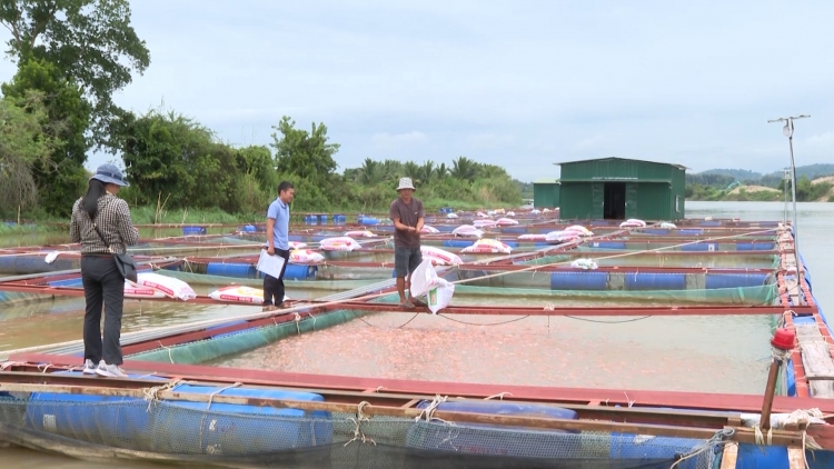 Păn ká châ tơkâ lối hrĭng rơtuh liăn ing long têa a Dak Nông