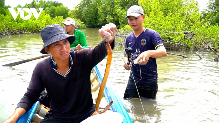 ការចាប់សត្វប្រគ្រកប្លែកពីគេនៅខេត្តកាម៉ាវ។