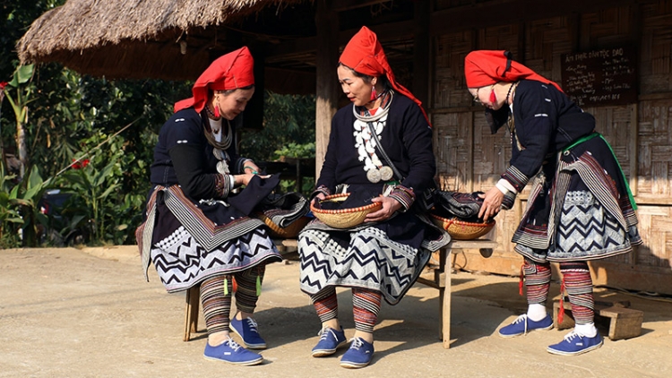 Lầy tzình phát sinh ìu miền vả  hoi 13.11.2023