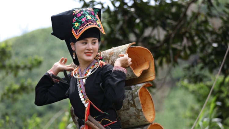 Lầy tzình phát sinh ừu miền vả thứ 4 hoi 1/11/2023