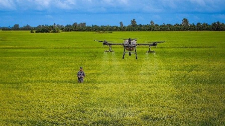 PATAOM IEK VEIK TAONG ABIH BRUK DI KAPOL SAONG BRUK JAK BA URANG NONG THUN 2023