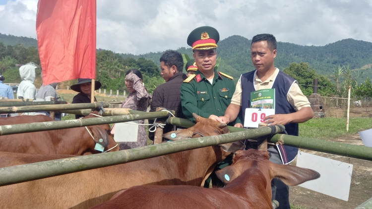 Đoọng tơơm chr’noh, m’ma bh’năn zooi đhanuôr 7 chr’val k’coong ch’ngai, k’noong k’tiếc Nam Giang (Quảng Nam)