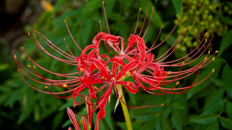 T'RUIH PA XƯL T'NGAY 16/11/2023