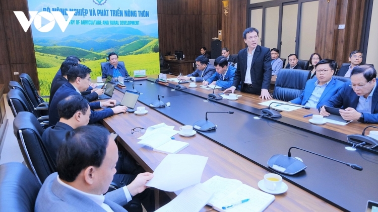 ពត៌មាន ម៉ោង​ ៦