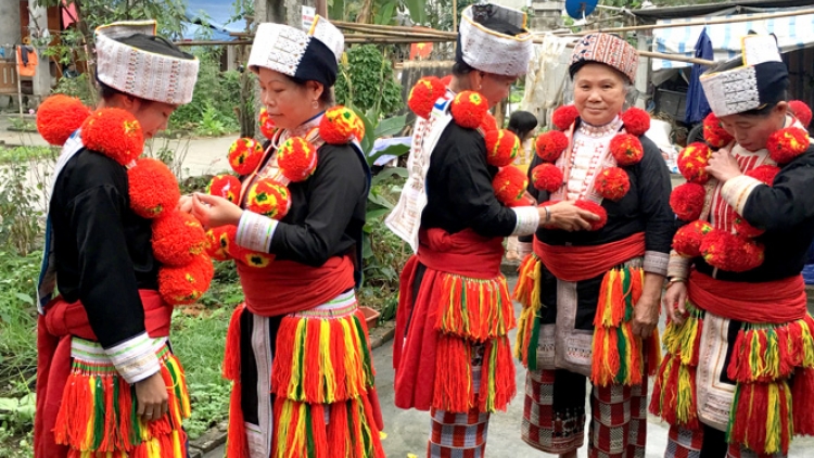 Lầy tzình  phát sinh ìu miền vả  hoi 15.11.2023