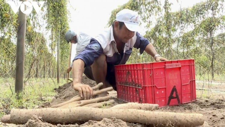 URANG NGAK NONG DI BÀ RỊA – VŨNG TÀU SALIH NGAK PHUN GLAI JENG PANDAP PANDA OCOP