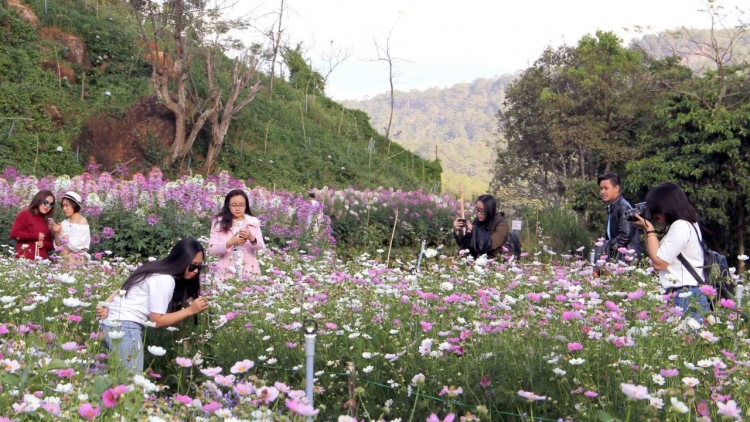 Càr Lâm Đồng tơrgùm lơh pràn lòt nhơl tam gơl pa lơh sa suơn sre bơtàu tơnguh