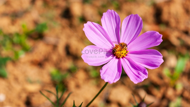 T'RUIH PA XƯL T'NGAY 2/11/2023