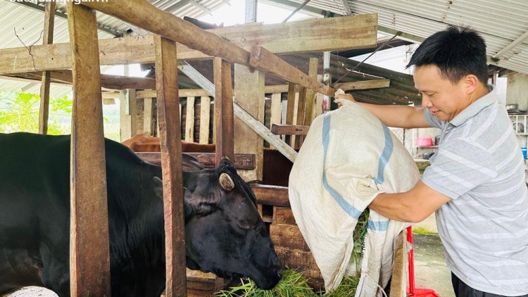 Quảng Ngãi: Zêl, cha groong pr’luh cr’ay ha cr’năn bh’năn