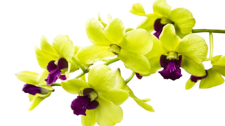 T'RUIH PA XƯL T'NGAY 10/11/2023