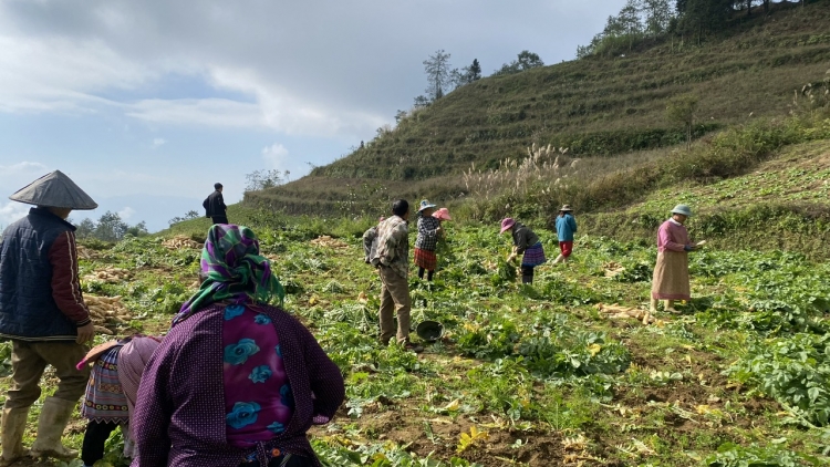 Hnoăng cheăng xiâm tơnêi têa: Prôk kreăng ngo, prếo kreăng têa kroăng