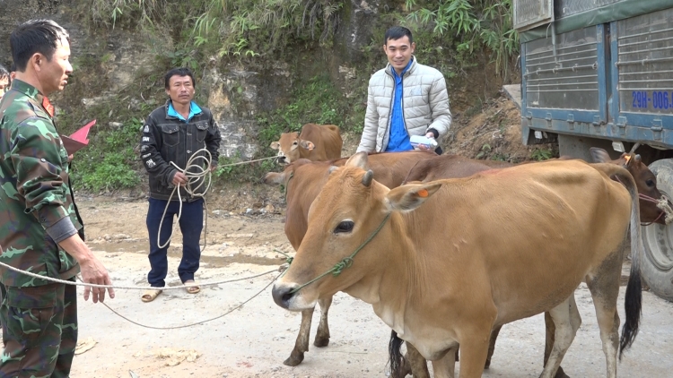 Tơdrong jang tơm teh đak: Hơtŏk klăih song hơdăh hơnăp jang, pơjao đon lui