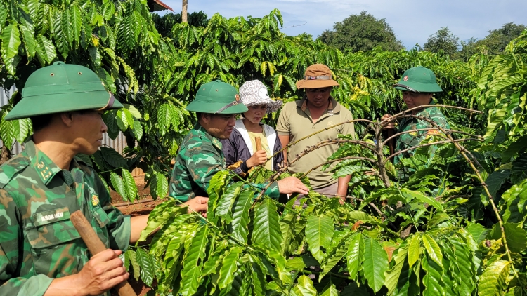 Kahan răng mgang knông lăn Gia Lai đru mnuih ƀuôn sang ti knông lănkpưn đĭ tlaih mơ̆ng klei dleh dlan  