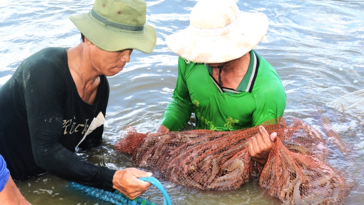 ពត៌មាន​ម៉ោង១៥