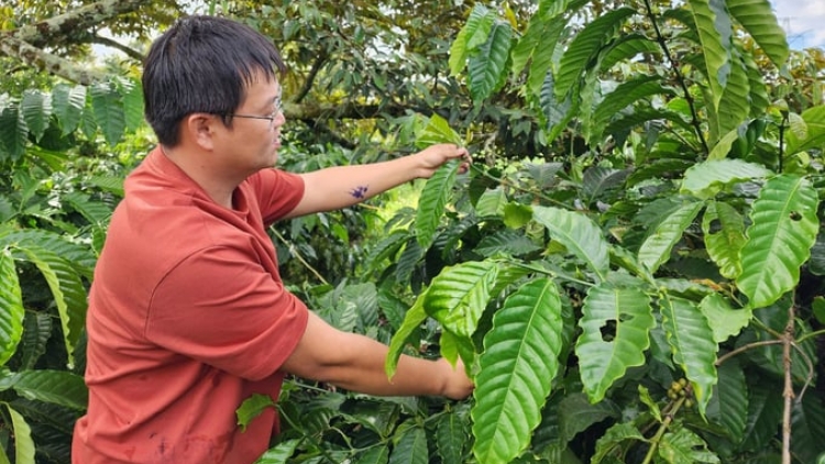 Ngon tô thứ 3 mự 19 bườn 12 pì 2023 –  Lang đì té luông dệt liệng tồ một lường chự phong bổng manh dệt hại nẳng cò cả phề