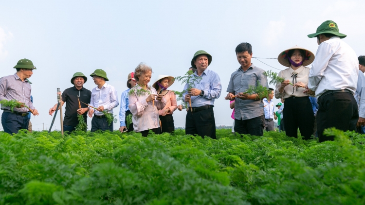 Chương trình phát thành quam Tay thứ 4 mự 06 căm bườn 12 pì 2023