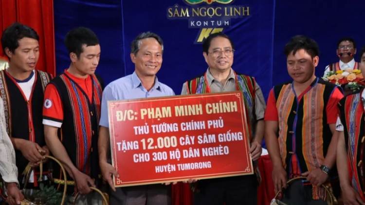 Choh 12.000 t’nơơm sâm Ngọc Linh Thủ tướng Chính phủ đoọng ha pr’loọng đha rưt chr’hoong Tu Mơ Rông