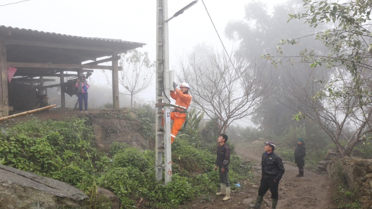 Lầy tzình  phát sinh ìu miền vả hoi 25.12.2023