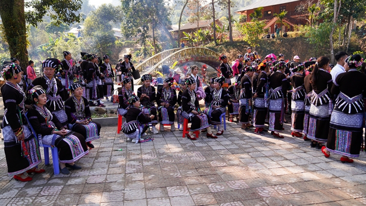 Tsaz yênhx nta suôz luk Hmôngz hnuz 12-12-2023