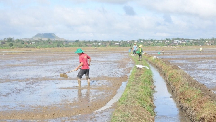 Dak Nông hbrâ mơdâ pêt báu vâ pôi tá trâm kong tô khăng khoăng a rơnó mơdrăng