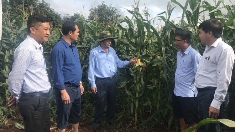 Ki tơƀrê tung pêt alâi tiô túa hơ’lêh nếo a Dak Lak